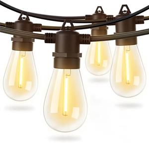 Outdoor Lights